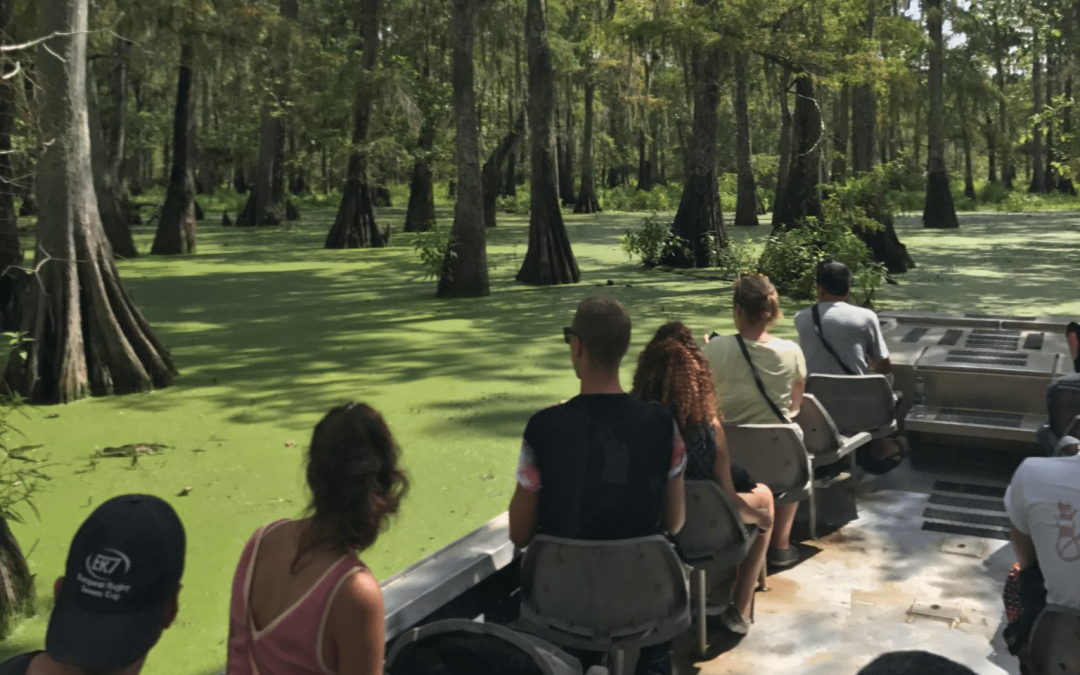 A Day on a Cajun Swamp Tour in Lafayette: Food, Stories & Wildlife