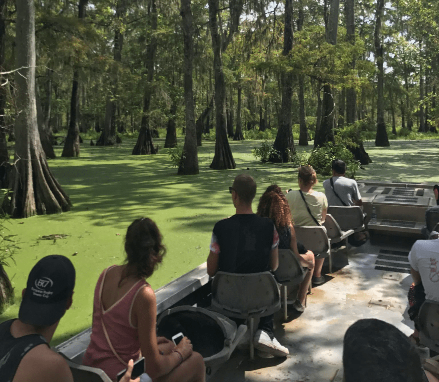 swamp tour