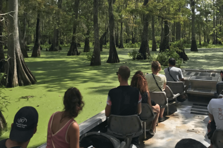 swamp tour